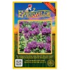 Everwilde Farms - 1750 Purple Bergamot Native Wildflower Seeds -