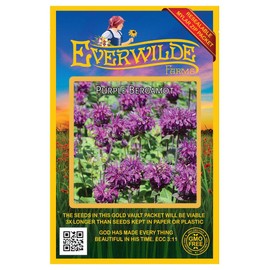 Everwilde Farms - 1750 Purple Bergamot Native Wildflower Seeds - Gold Vault Jumbo Seed Packet