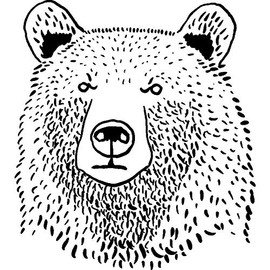 Azeeda A8 'Grizzly Bear Head' Unmounted Rubber Stamp (RS00024035)