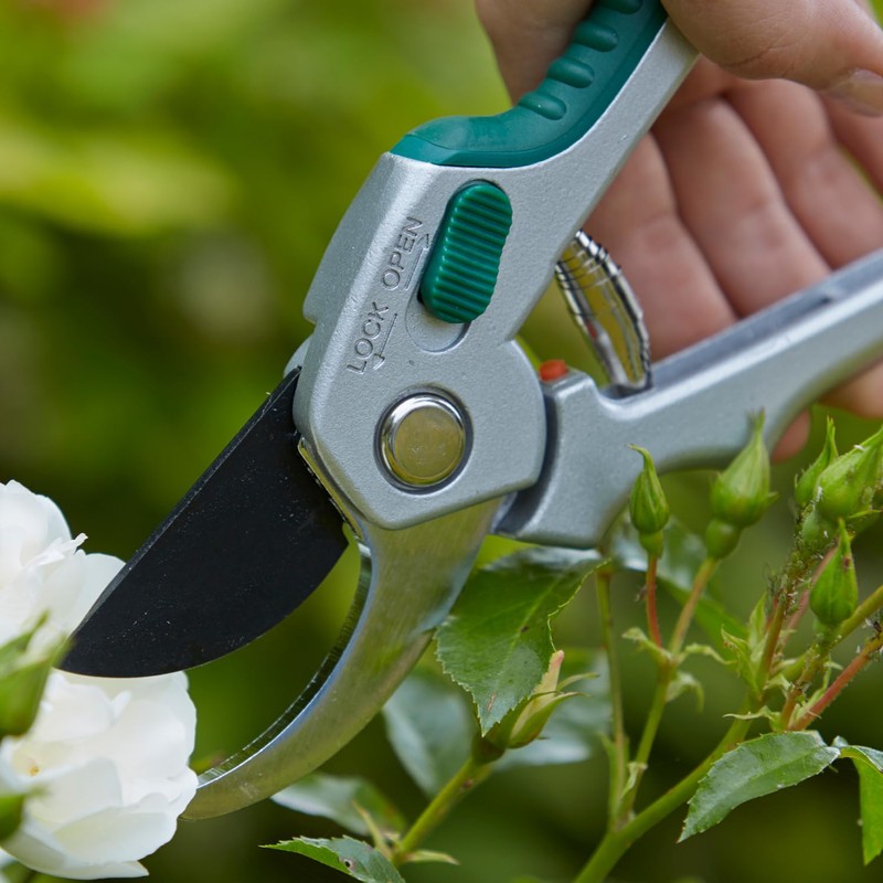 Carters - Bypass Secateurs - Garden Pruning Tool - Ideal