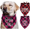 Pack of 2 Dog Bandana Valentines Day - Reversible Buffalo