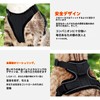 Cat Harness Anti-Escape Adjustable Outdoor Walking Vest, Reflective Strap, Breathable