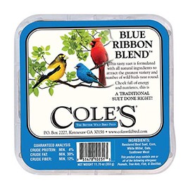 COLES WILD BIRD PRODUCTS Blue Ribbon Blend Suet, 1 EA