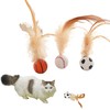 3 PCS Cat Bouncy Ball with Feather,Cat Feather Toys, Feathered