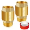 Boltigen 2Pcs 1in NPT Spring Check Valve, Brass Non Return