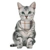 Faleela Breakaway Cat Collar with Bells - 2 Pack Cat
