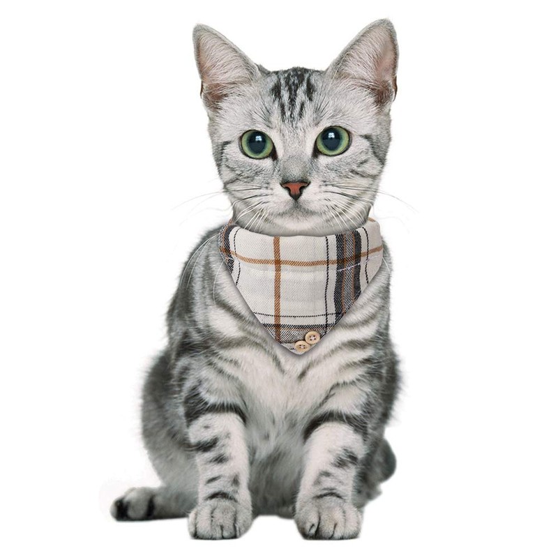 Faleela Breakaway Cat Collar with Bells - 2 Pack Cat