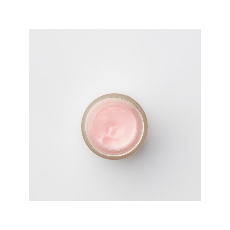 Damask Rose Hand and Body Cream 50g / 다마스크 로즈