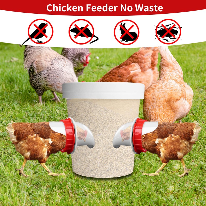 DIY Chicken Feeders Chicken Feeders No Waste Automatic Poultry Feeder