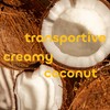 Seaweed Bath CO Creamy Coconut Daily Lotion, 30 FZ