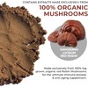 Real Mushroom Reishi Mushroom Powder for Longevity (45 Servings) Vegan,