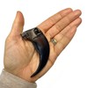 Bear Claw Replica
