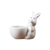 QUINTRA Easter Bunny Mini Ceramic Succulent Pots Thumb Flower Pots