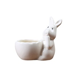 QUINTRA Easter Bunny Mini Ceramic Succulent Pots Thumb Flower Pots for Small Plants and Decorative Items Self Watering Pot (B, A)