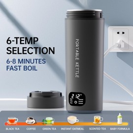 HOWDIANQY Dual Voltage Portable Electric Kettle Travel Hot Water for Tea,Coffee, 6 Temperature Controls and LCD Display, 316 Stainless Steel and Large Capacity 450ml, Auto Shut Off&Boil Dry Protection