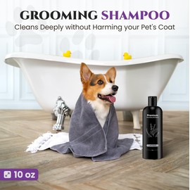 605Products - Lavender Dog Shampoo for Itchy and Sensitive Skin, Puppy Shampoo and Odor Eliminator for Smelly Dogs and Puppies, Natural Pet Shampoo and Deodorizer - Dog Bath Supplies (Lavender)