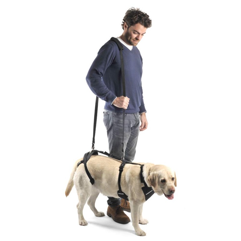 Ortocanis - Full Body Harness for Front and Rear Legs