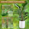 3 Pack Moss Pole Monstera Plant Support, 28 Inch Bendable
