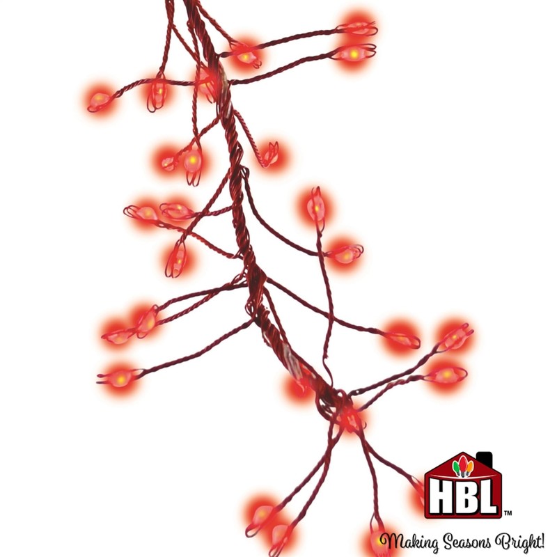 Holiday Bright Lights Indoor/Outdoor 11.5' 420L Big Seed Cluster Micro