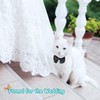 HACRAHO Formal Bow Tie for Dogs Adjustable Formal Pet Costume