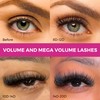 Eyesy Lash Eyesy Lash 500 Promade Fans - 14D 0.03