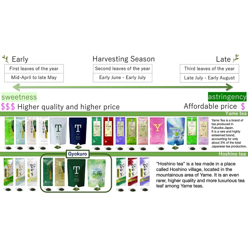 八女茶 天雫の彩 ( あましずくのいろどり ) 100g 八女煎茶 おいしい お茶 JAふくおか八女