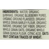 Earths Best Baby Pouch Blueberry Banana, 4 oz