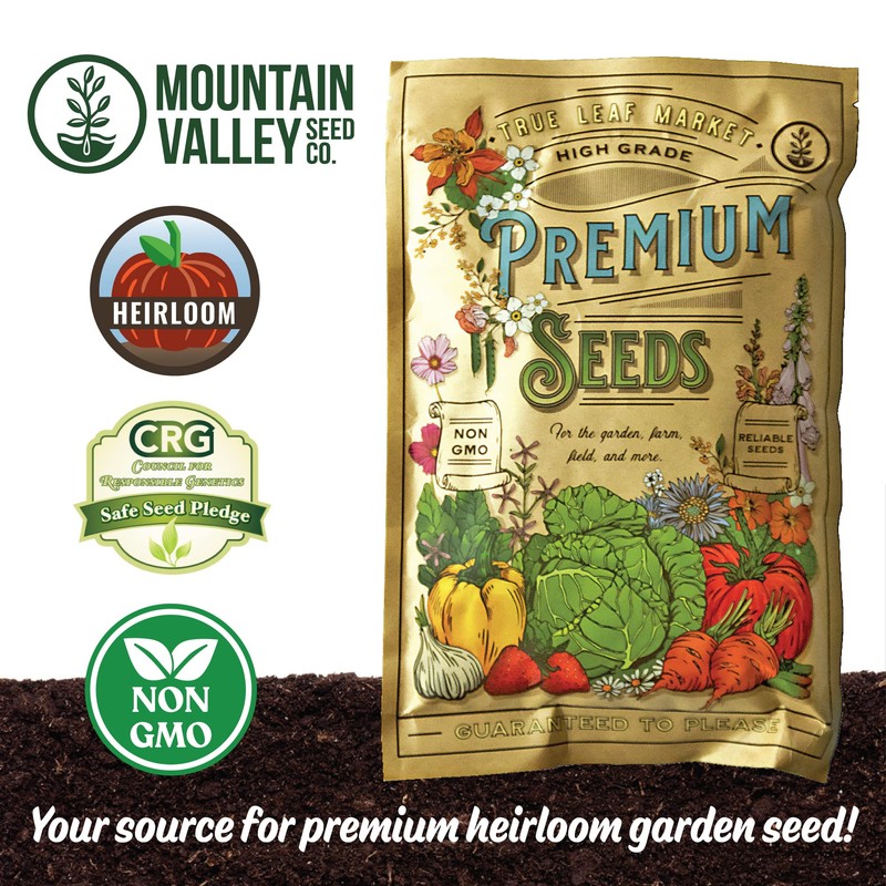 Watermelon Seeds - Peacock Improved - 3 g Packet ~40