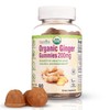 Pharmvista USDA Organic Ginger Gummies 200mg 90 Count for Nausea