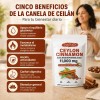 GWYNNE - Ceylon Cinnamon 300 Capsules 20:1 con Aceite MCT,alta
