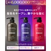 Lloyd Premium Color Shampoo, 16.9 fl oz (500 ml), Salon
