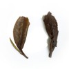 GOARTEA White Tea 50g / 1.76oz Fuding Supreme Gongmei Tribute