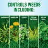Roundup For Lawns₃ Ready-To-Spray - Tough Weed Killer for Use