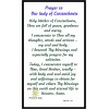 Our Lady of Czestochowa Patron of Poland Blessed Laminated Holy