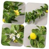 Abaodam Lemon Cane Eucalyptus Garland With Flowers Berry Wreath Wedding