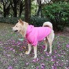 Petmingham Pet Clothes for Dog Cat Puppy Hoodies Coat Fleece