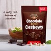 Platinum - Chocolate Coated Cashews 12 oz Resealable Pouch |