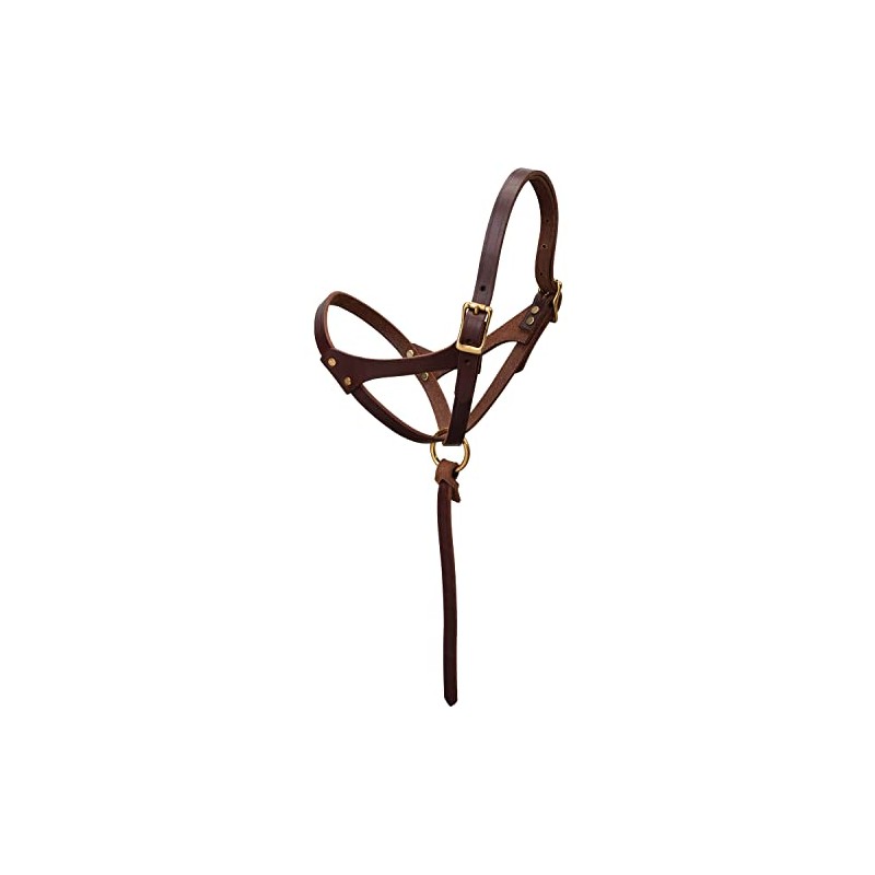 Weaver Leather Figure 8 Foal Halter, 5/8" Suckling, Oiled Canyon