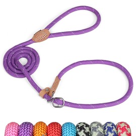 Grand Line Slip Lead Dog Leash, 5FT Reflective Slip Rope, Puppy Training Walking Controlling Lead, Slip Collar Pet Leash for Small, Medium, Large Dogs (Purple, Medium-2/5in x 5ft)