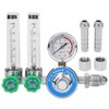 Oumefar Gauge Flowmeter Argon Purging Regulator for TIG welding WX-55X-2L