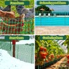 Plastic Fencing Temporary Fenc with Posts, Snow Fence 4 x