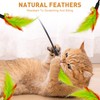 SUPERPAWS Interactive Cat Toys Feather Toys Cat Toys Wand Cat
