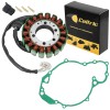 For Yamaha Stator And Gasket for Yamaha Road Star XV1600A