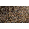 No-Till Cover Crop 13-Seed Mix: 50% Clovers Plus Fenugreek, Vetch,