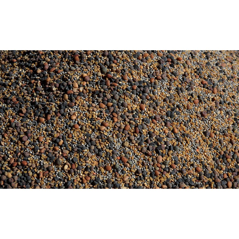 No-Till Cover Crop 13-Seed Mix: 50% Clovers Plus Fenugreek, Vetch,