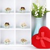 600 count Green Mini Cupcake Wrappers Liners for Baking Greenery