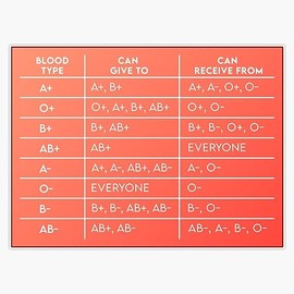 MAGNET Blood Type And Compatibility Chart Magnetic Vinyl Sticker Decal Magnet 5"