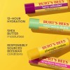 Burt's Bees Burt’s Bees Drink Inspired Lip Balm Pack, 10