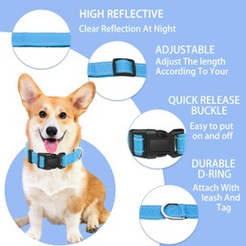 Maiiu Reflective Dog Collar with Safety Locking Buckle, Adjustable Soft Breathable Nylon Collars for Small, Medium and Large Dogs(Collar+Leash M Sky Blue)