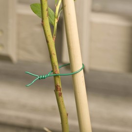 Gardener's Blue Ribbon T025B Garden Training Wire Roll, 50'